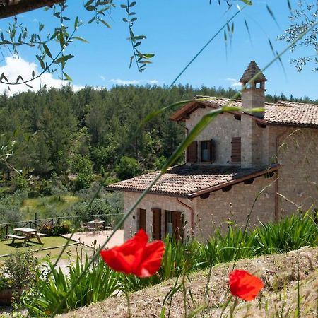 Agriturismo Molino Verde Montecchio  Buitenkant foto
