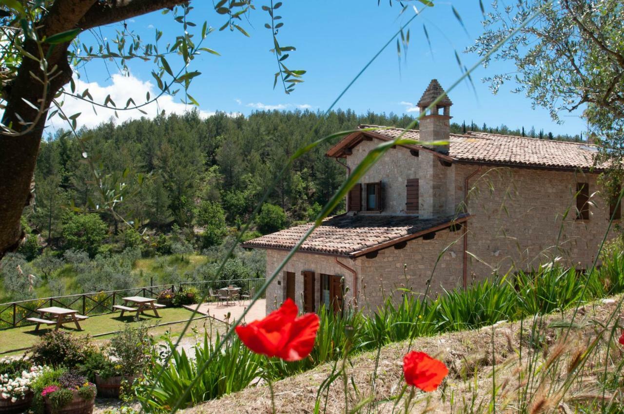 Agriturismo Molino Verde Montecchio  Buitenkant foto