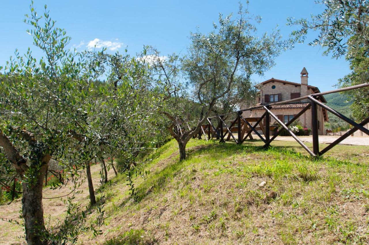 Agriturismo Molino Verde Montecchio  Buitenkant foto