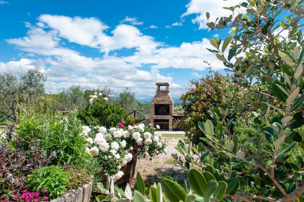 Agriturismo Molino Verde Montecchio  Buitenkant foto