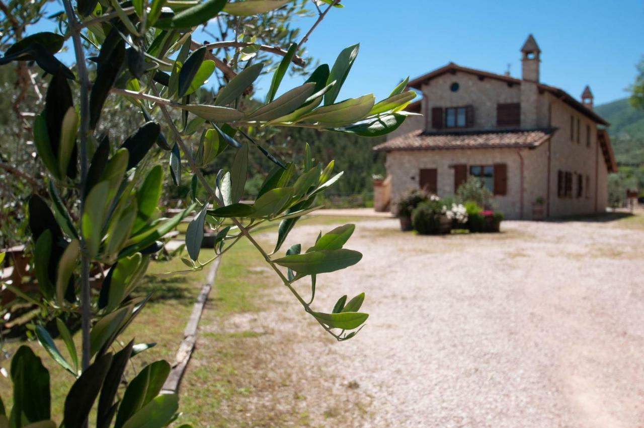 Agriturismo Molino Verde Montecchio  Buitenkant foto