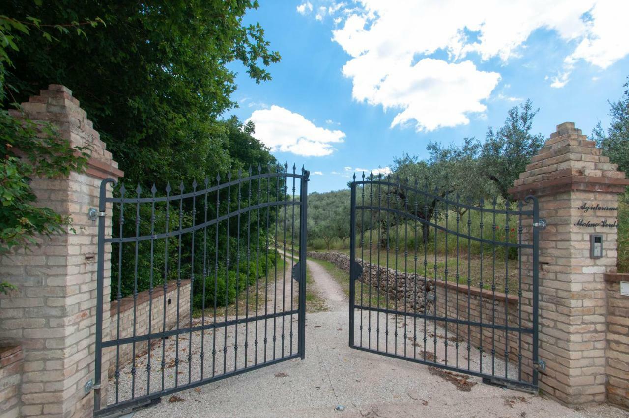 Agriturismo Molino Verde Montecchio  Buitenkant foto