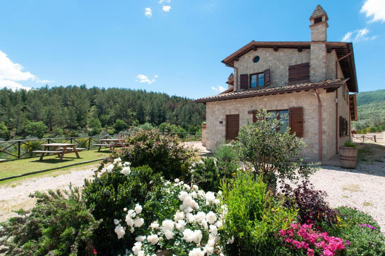 Agriturismo Molino Verde Montecchio  Buitenkant foto